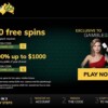 Is Golden Tiger Casino still a force to be reckoned with in 2025? Our review reveals if it's roaring louder than ever.